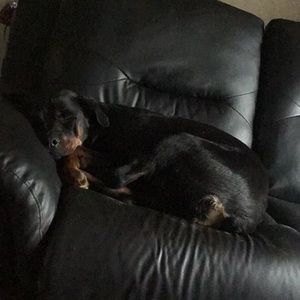 Meet your Posher, Gay